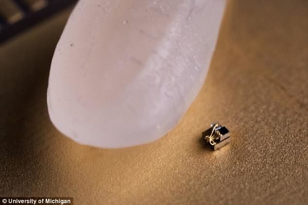 全球最小電腦面世:尺寸僅0.3mm
