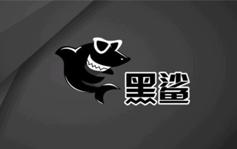 黑鯊裝機大師U盤重裝win10系統(tǒng)詳細教程