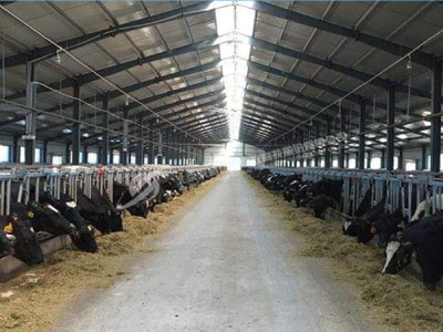 養(yǎng)殖場(chǎng)